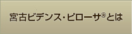 <strong>宮古ビデンス・ピローサ</strong>Rとは