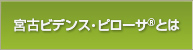 <strong>宮古ビデンス・ピローサ</strong>®とは