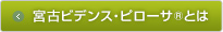 <strong>宮古ビデンス・ピローサ</strong>Rとは