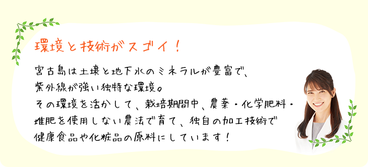 環境と技術がスゴイ！